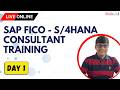 SAP FICO Project Training Day 1 - Associate Consultant - For SAP Beginners!