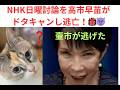 高市が日曜討論逃亡。NHK日曜討論を高市早苗がドタキャン。「なんと高市首相がドタキャンと、生放送開始30分前に告げられた。NHKも大騒ぎ」。 “統一教会”、裏帳簿などの追及から逃げた高市早苗