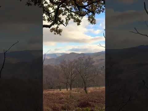 Hiking in Snowdonia ⛰️ #walking #hiking #hikingholiday #snowdonia #trailwalking #exploring