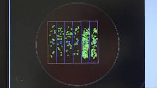 ProtoCOL 3 automated colony counter from Synbiosis