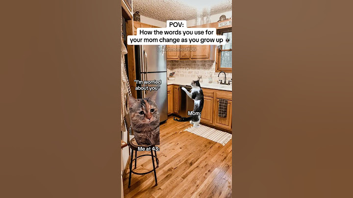 CAT MEMES 🐱How what you call your mom changes over time #catmemes #relatable #relationship
