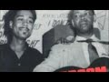 Dust My Broom - Elmore James