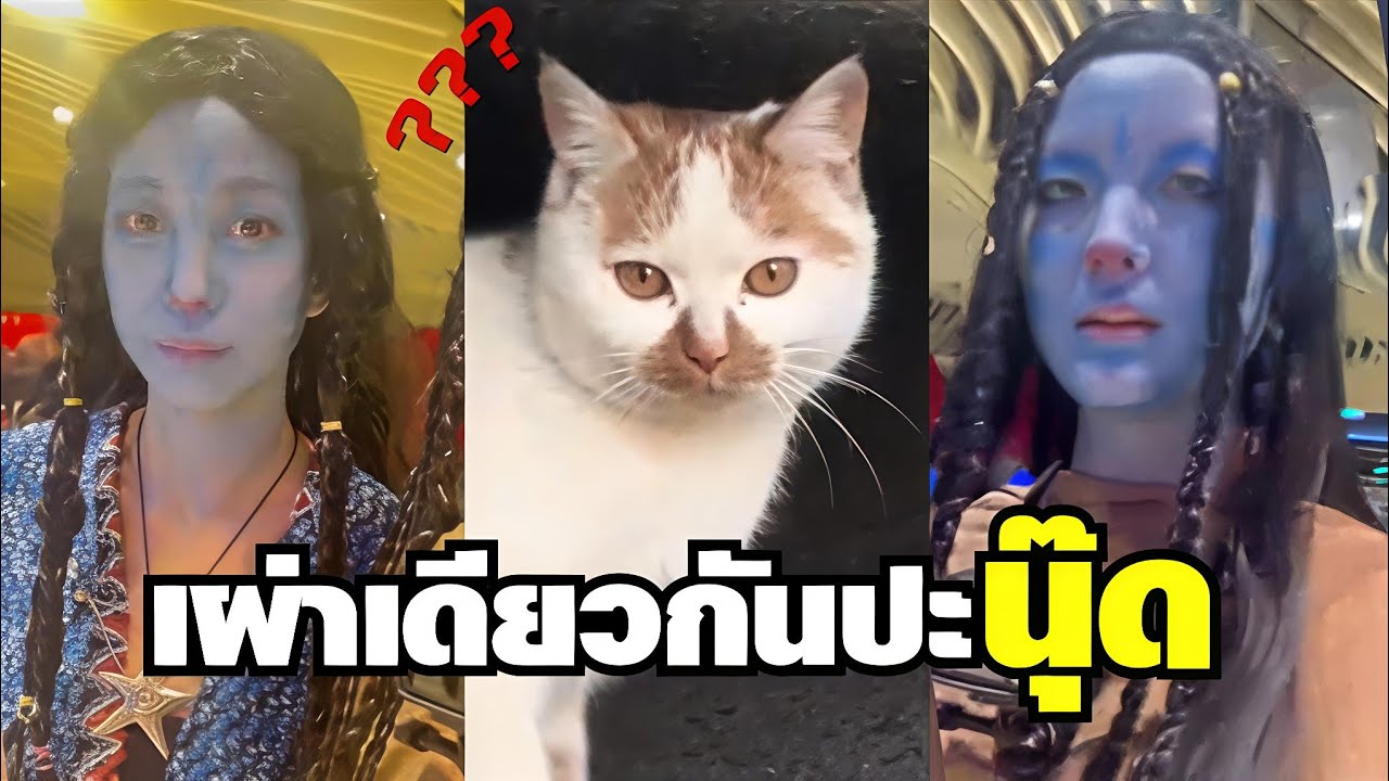 แต่งเป็นแมวงี้ มาดูโดราเอม่อนใช่ไหมนุ๊ด !! ( รวมมิตรพี่จีน ) #พากย์ไทย 