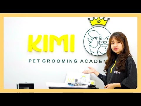 Video Học Cắt Tỉa Lông Chó Chuyên Nghiệp | Dạy cắt tỉa lông... - youtube