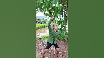 Cậu bé đã cứu bố khỏi nguy hiểm | The boy saved his father from danger. #shorts