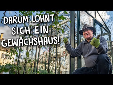 Video: Bester Platz für ein Gewächshaus - Wie man ein Gewächshaus in der Landschaft aufstellt