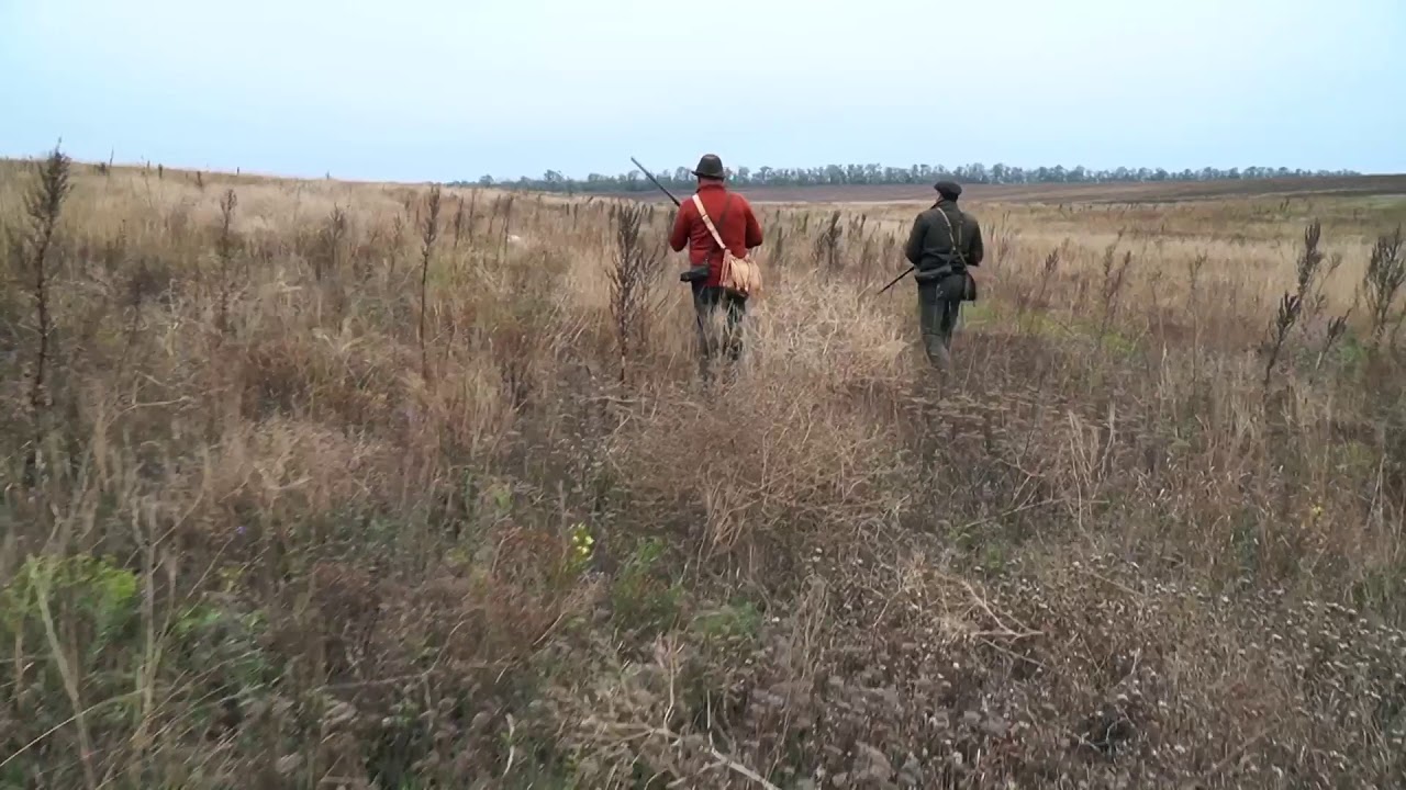 Работа дон хантер. Работа дон хантер. Хантер х хантер хамелеон. Фотографию собаки дон хантер. Работа дон хантер.