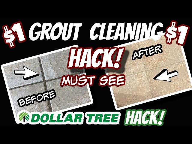 DOLLAR TREE VS. NAME BRAND CLEANING SUPPLIES 