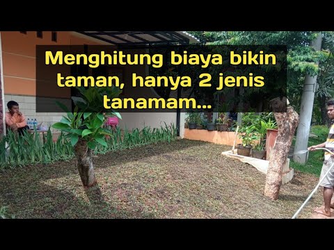 Video: Rumput Untuk Taman Permainan: Rumput Buatan Dan Semula Jadi Di Negara Ini, Yang Lebih Baik Ditanam Untuk Anak-anak, Komposisi Pelapisnya