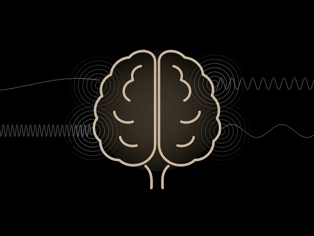 𝗔𝗦𝗠𝗥 Clean Your Brain Before Bed
