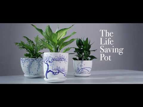 The Life-Saving Pot | Manulife Singapore