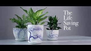 The Life-Saving Pot | Manulife Singapore