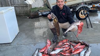 Action Packed Spring Fishing!!! Haddock, Acadian Redfish, cusk, cod* and Pollock