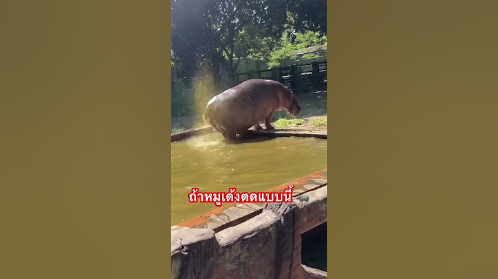 #หมูเด้ง ถ้าโตแล้วเป็นแบบนี้ล่ะ หมูเด้งตด🦛🦛🏍️