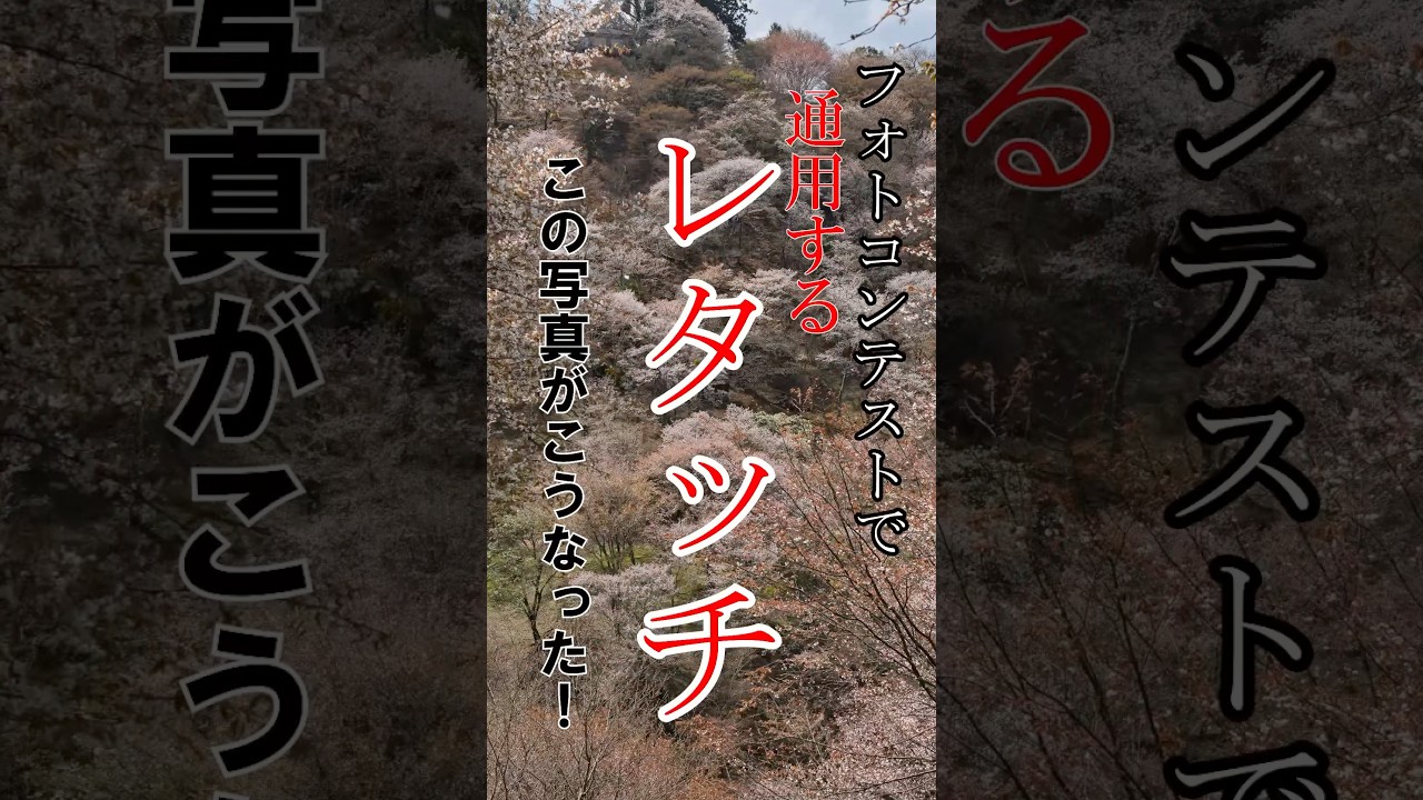 【桜の写真・風景写真】このレタッチ、やってますか？春が“軽くなるRAW現像 ～フォトコンテストで通用するレタッチ～　#RAW現像 #Lightroom #写真初心者 #写真上達 #写真講座