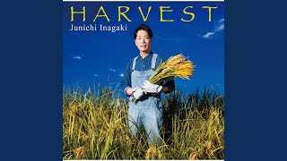 週末のStranger