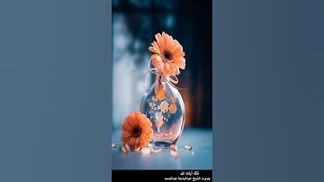 وأقيموا الصلاة وآتوا الزكاة واركعوا مع الراكعين - سورة البقرة آية 43 - بصوت عبدالباسط عبدالصمد