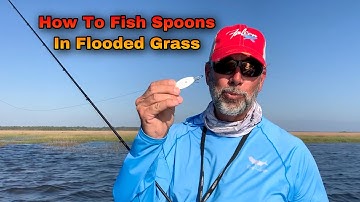 How To Fish Spoons In Flooded Grass - Flats Class YouTube