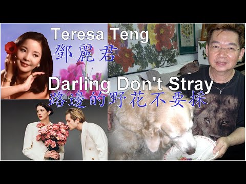 邓丽君Teresa Teng路边野花不要采 Darling, please don't stray!