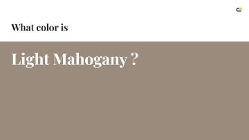 Light Mahogany color #9b8b7c hex color - Brown color - Cool color 9b8b7c