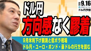※井上※ 他の方は購入しないでください！ ドル円は方向感なく膠着、今狙うべき通貨は 2025/9/16（火）井上