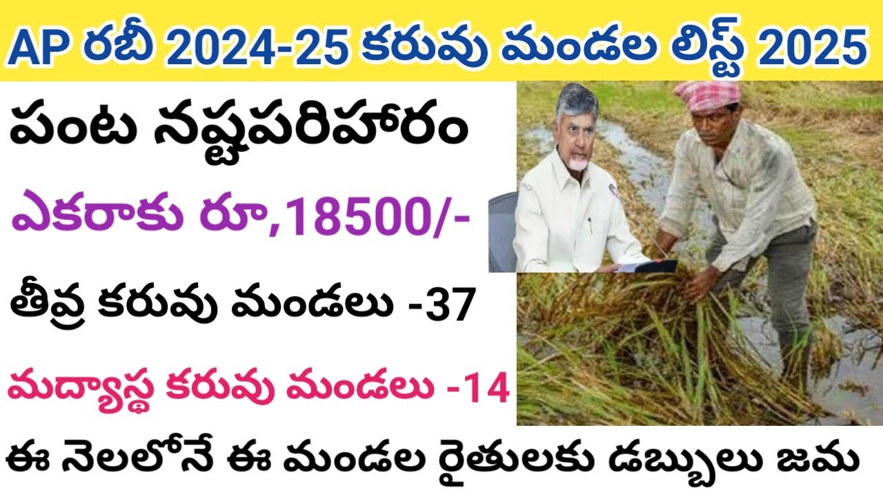 Rabi 2024 - 25 drought zone list released//ap input subsidy 2025//ap farmer input subsidy status ...