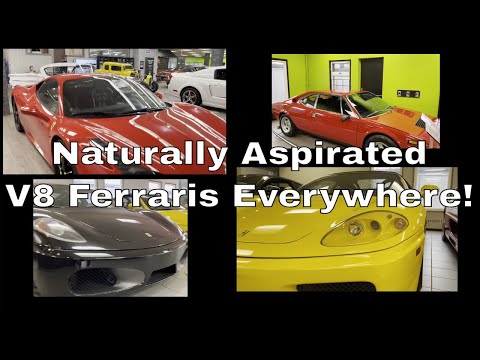 Visiting The Carson Exports Supercar Collection | Ferraris, Porsches, Bentley and More!