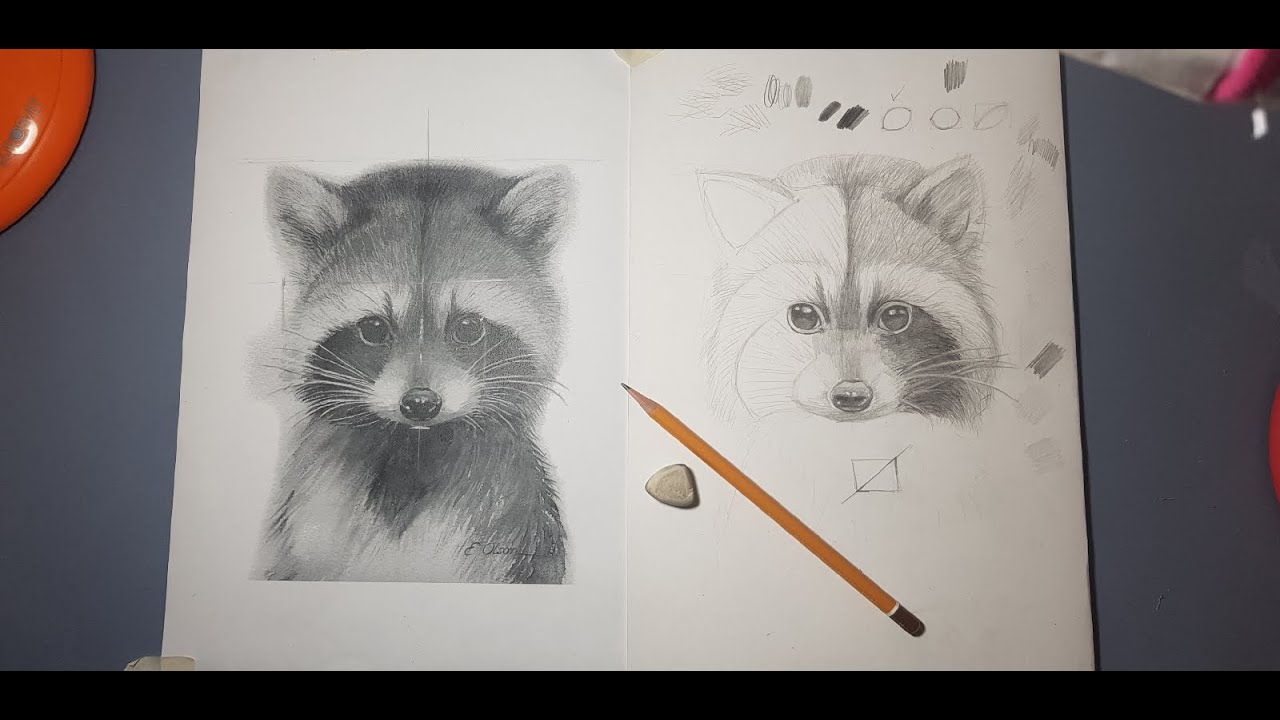 Урок рисования - Енот карандашом - YouTube
