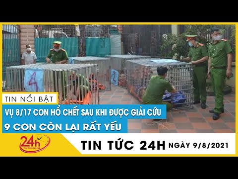 2 gia đình nuôi nhốt 17 con hổ trái phép, 1 hộ người chồng là công an viên bán chuyên trách của xóm