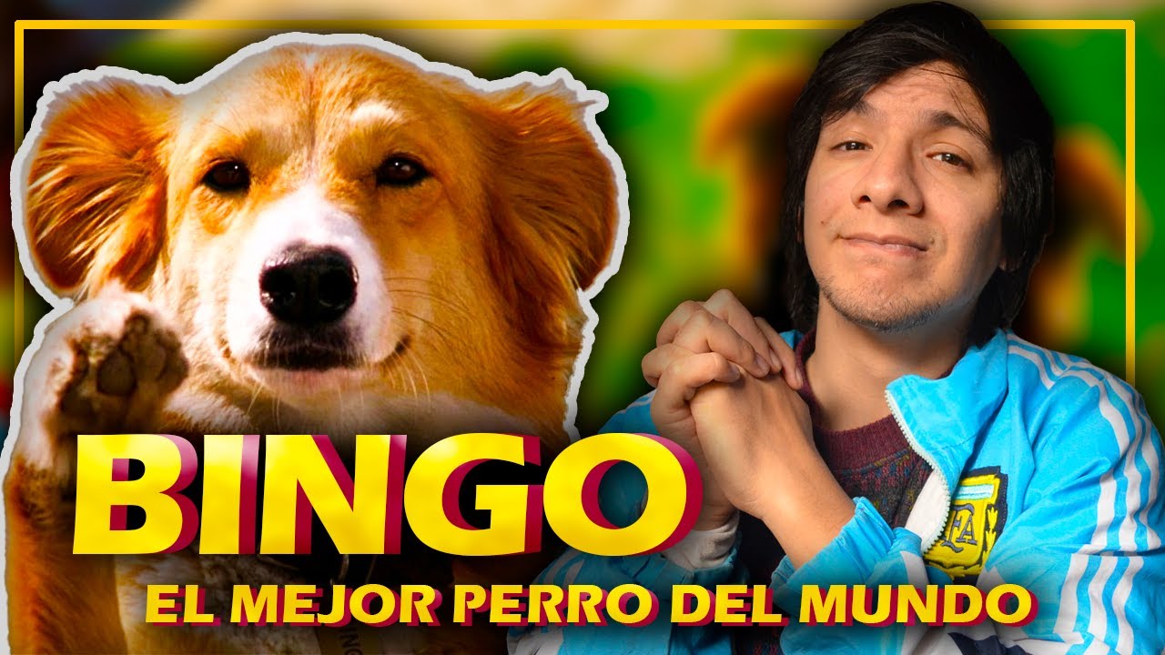 Películas de bingo en español