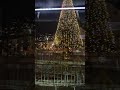 🎄 В Хайфе в Немецкой колонии начали устанавливать Новогоднюю елочку!