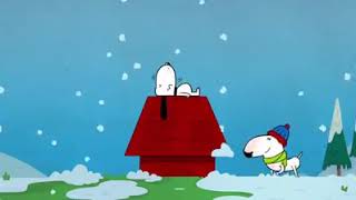 Bull Terrier Jimmy In The Masters Tribute