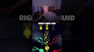 The Best Fully-Maxed Skill Tree In Arc Raiders