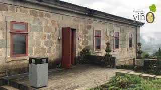 Museo do Viño de Galicia. Visita Guiada virtual.