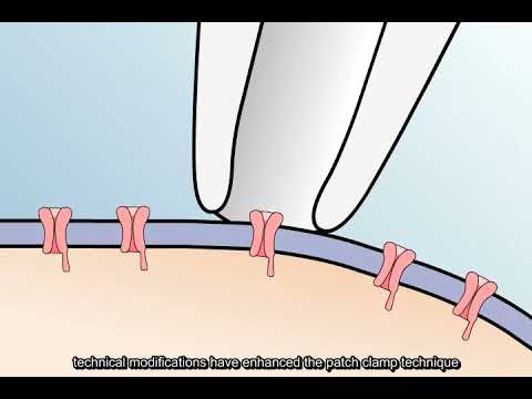 The Patch Clamp Method - YouTube