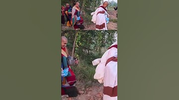 Buổi sáng các thầy ra đi khất thực sáng nay 24/1/25 #thíchminhtuệ