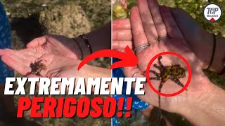Os 7 animais MAIS VENENOSOS do mundo!