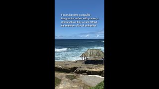 The Surf Shack at Windansea Beach