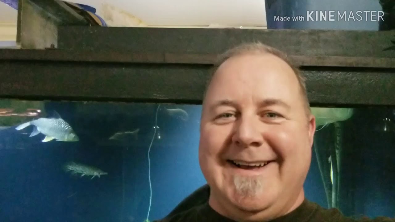 My visit to Ohio fish rescue YouTube