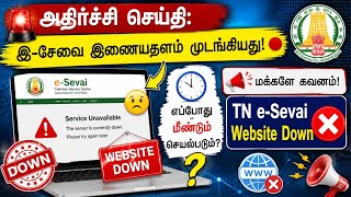 🚨 அதிர்ச்சி செய்தி! TN e-Sevai இணையதளம் முடங்கியது 😱 | எப்போது மீண்டும் செயல்படும்? | tnega screenshot 2