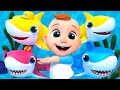 ¡Aventura con Coco y el Tiburón Bebé! Canciones infantiles coloridas y divertidas | LuLu LaLa