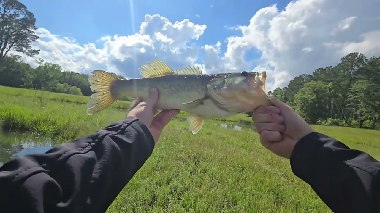 Bass fishing!