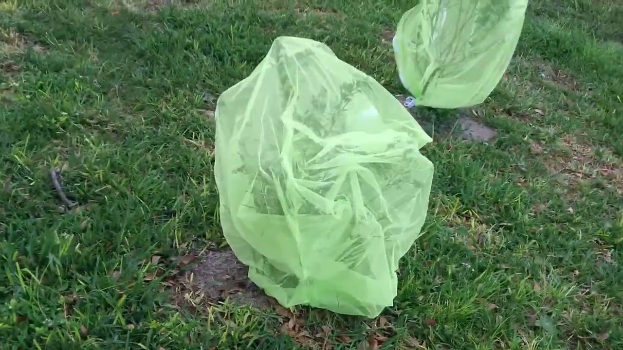 Review: RIFNY 47x40inch drawstring tree netting anti bird bags $20 4/pack