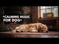 12 hours of Ultimate Relaxation : Dog Calming Music for Anxious Pups 😌 Anti - Stress Sounds