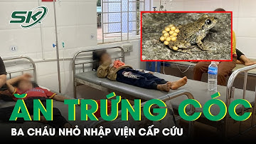 Ba Em Nhỏ Nhập Viện Cấp Cứu Nghi Do Ngộ Độc Trứng Cóc | SKĐS