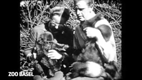 Ernst Lang erinnert sich an Goma