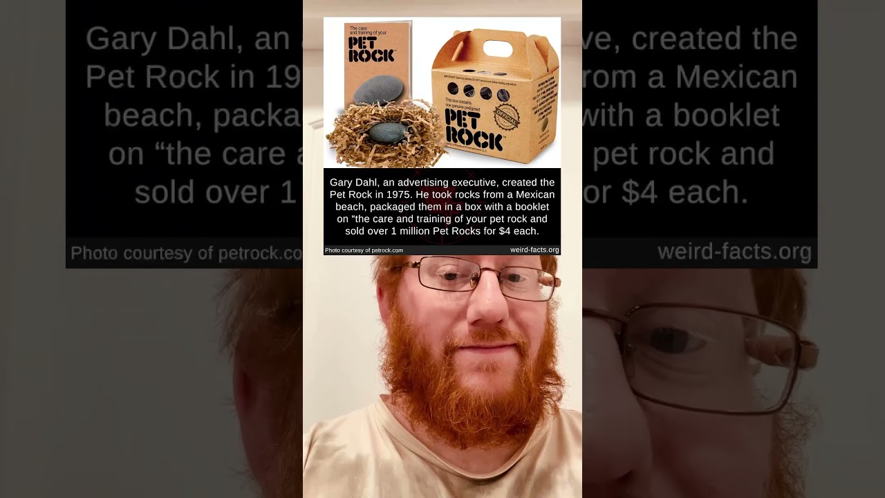 Gary Dahl, an advertising executive, created the Pet Rock in 1975.