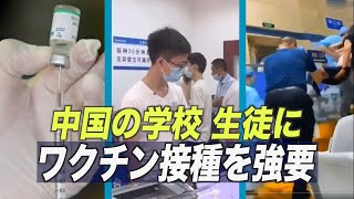 〈字幕版〉中国の学校 生徒にワクチン接種を強要