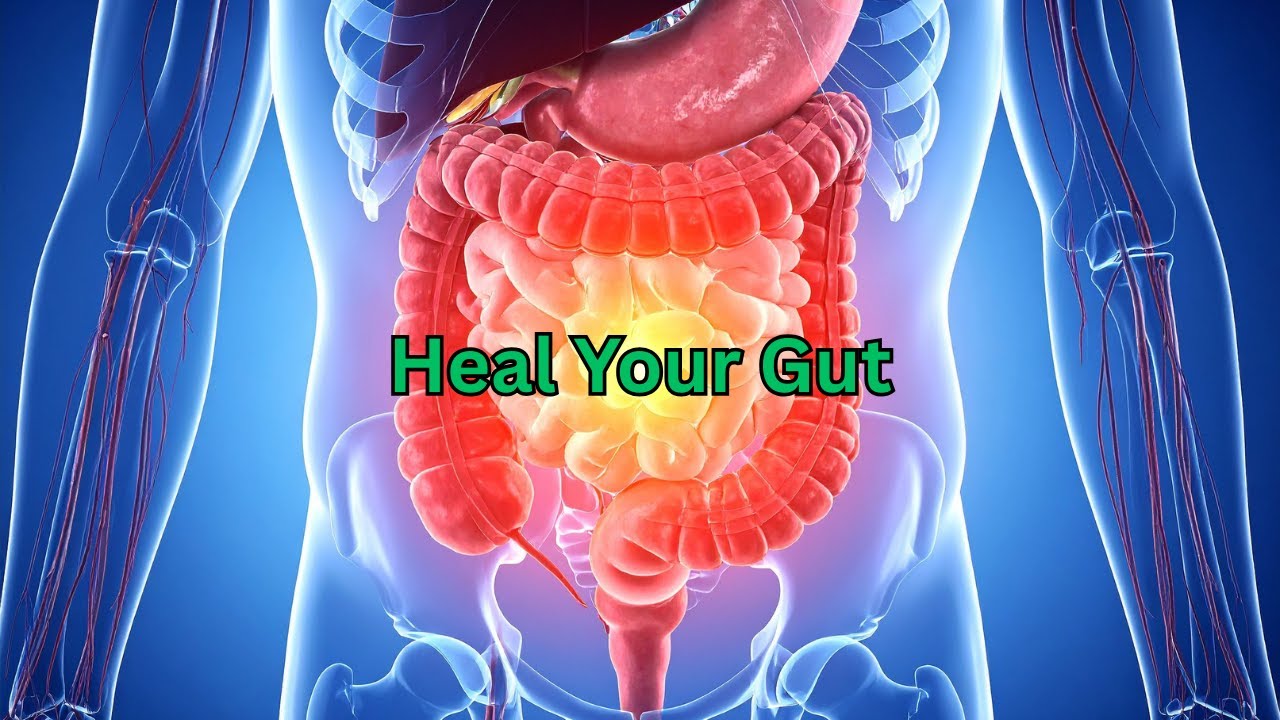 Why Gut Health Is the Key to Overall Well-Being | Digestion, Immunity ...