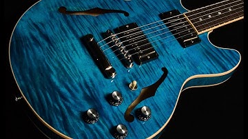 Gibson Memphis ES-339  •  SN: CS252959